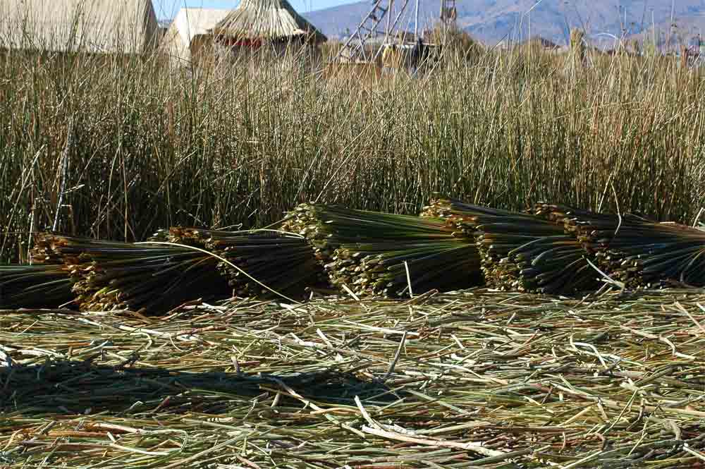 117 - Peru - lago Titikaka, isla de los Uros